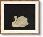 Framed Wall Art for Living Room, Swan Art Canvas Prints, Vintage Home Decor, Animals Painting Picture, Bathroom Wall Decor Gifts for Friends or Family - 12L x 10W
