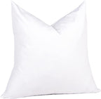 puredown® Feather Down Throw Pillow Inserts 22 x 22 (Pack of 2, White), Big Throw Pillows for Floor, Couch, Bed, Machine Washable